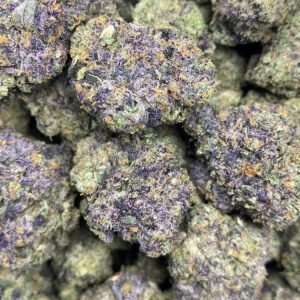 Stoney Patch Granddaddy Purple